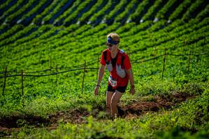 BIB: 
                            <button type="button" onclick="openModal(19160694)" class="btn btn-primary btn-sm float-right btn-popup" data-toggle="modal" data-target=".modal-high-quality">
                        <i class="fas fa-shopping-cart"></i> Add to Cart
                    </button>
                                            <button type="button" onclick="isThisMe(19160694, true)" class="btn btn-success btn-sm float-right btn-popup btn-isme hidden" data-toggle="tooltip" data-placement="bottom" title="นี่คือรูปของคุณใช่ไหม คลิกที่นี่เพื่อเอาเข้าอัลบั้ม">
                        <i class="fas fa-plus"></i> Add to album
                    </button>
                    <button type="button" onclick="isThisMe(19160694, false)" class="btn btn-warning btn-sm float-right btn-popup btn-isnotme hidden">
                        <i class="fas fa-ban"></i> Remove from album
                    </button>